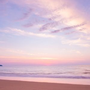 Meet your Posher, Lisa L